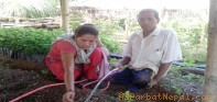 हातखुट्टाले घिर्सिँदै तरकारी खेती